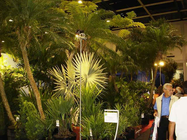 DSC05867