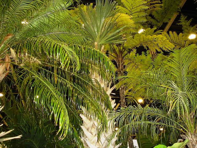 DSC05889