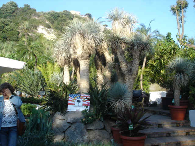 DSC07881