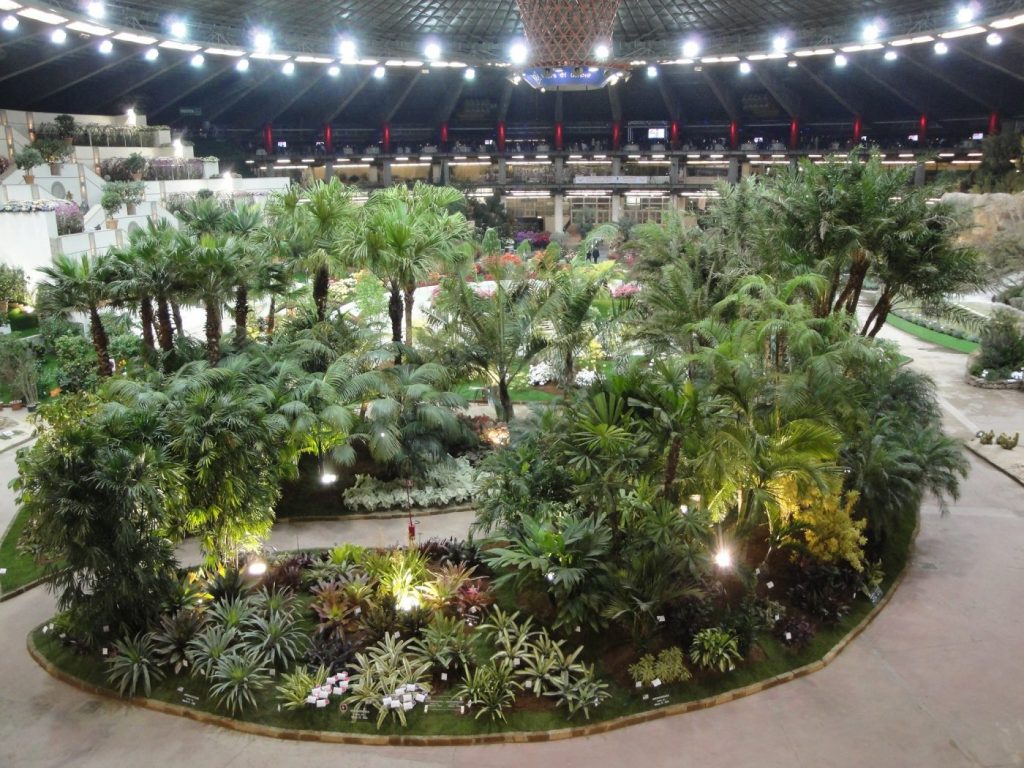 EUROFLORA1