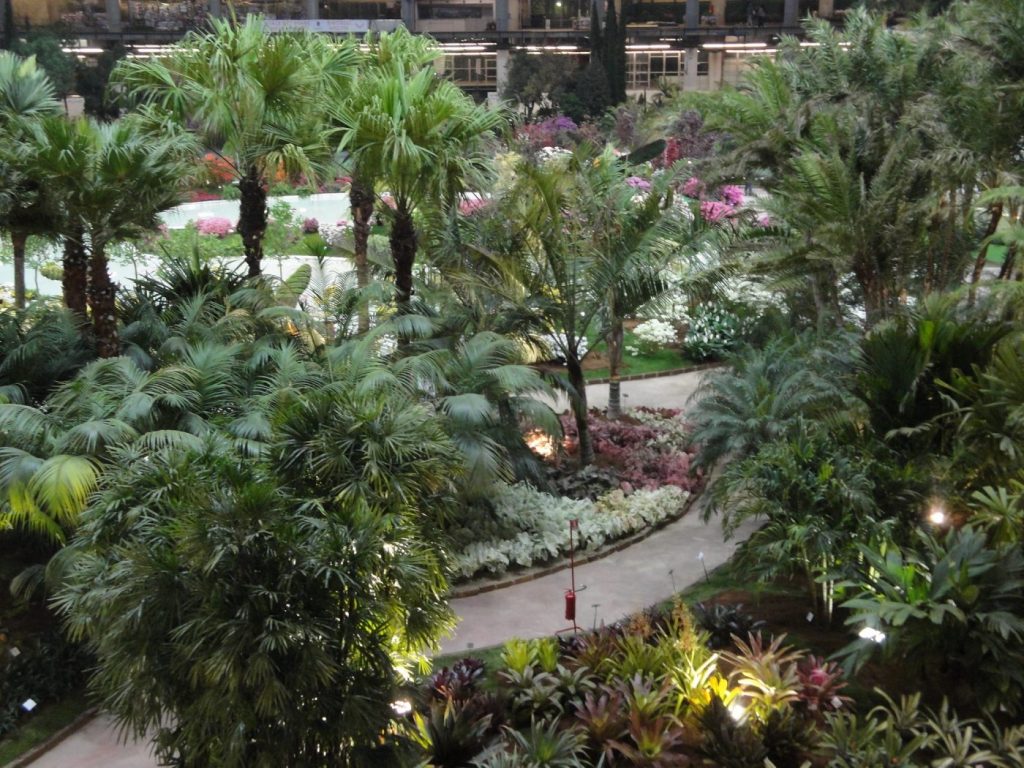 EUROFLORA2