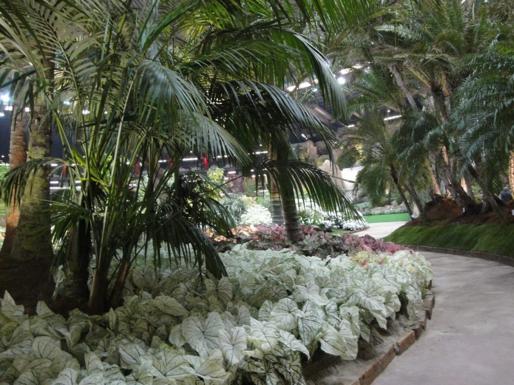 EUROFLORA3