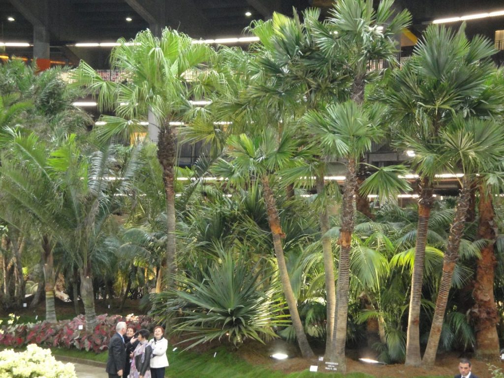 EUROFLORA4