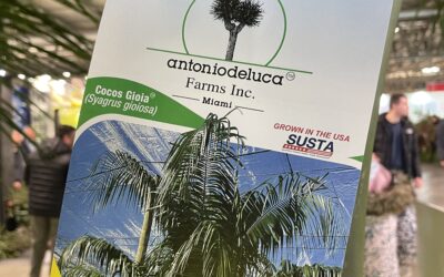 MY PLANT & GARDEN  2023 (Milan, Italy)