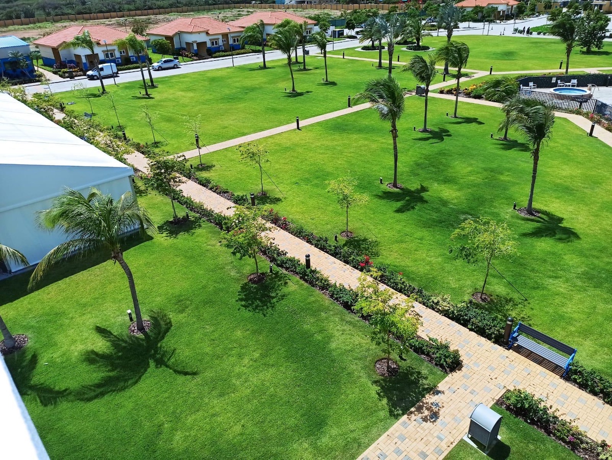 delucafarms landscape 1